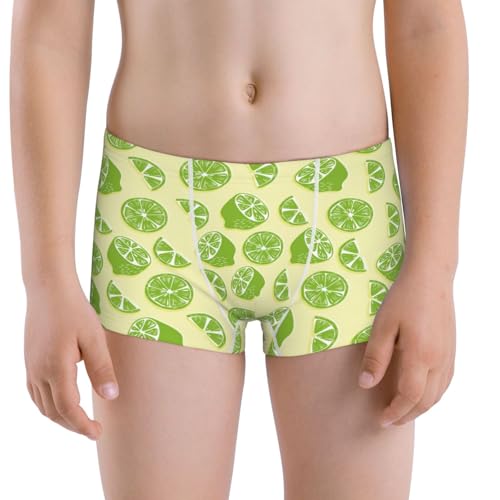 Boys' Cotton Boxer Brief Soft Underwear-Various Lemons