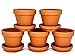 meindekoartikel 5 Töpfe und 5 Untersetzer aus Ton - Blumentopf Pflanzgefäß für Garten, Balkon und Zuhause (10tlg.Set - Ø 6 cm)