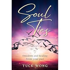 Soul Ties Audiolibro Por Tuck Wong arte de portada