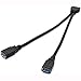 RAYSUN Dual 2 Port USB 3.0 A Type Female to 20 Pin Box Header Female Slot Adapter Cable for USB Ports Directly to Computer Motherboard