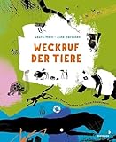 mixtvision Medienges.mbH