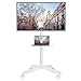 BONTEC Mobile TV Stand on Wheels, Rolling TV Cart with Media Shelf, TV Mount Stand with Tilt, 2-Level Height Adjustable Low-Profile Design for 23–60in LED/LCD/OLED TVs, Holds 25kg, Max VESA 400x400mm