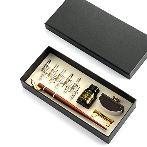 MSEKKO Juego de bol�grafos de inmersi�n Pluma de inmersi�n Vintage Tinta de Escritura de Fuente 10 Puntas Secante de Tinta Caja de Regalo Caligraf�a