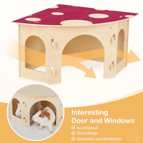 Glittme Esconderijo de cobaia em forma de leque, esconderijo de coelho de madeira, casa de coelho es