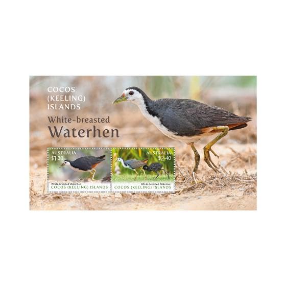 Cocos (Keeling) Islands Waterhens Miniature Sheet