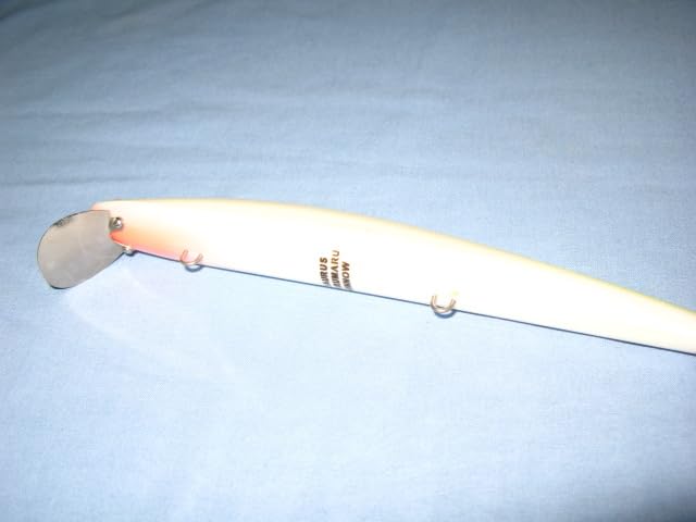 ザウルス　ヨルマルミノー ザウルス ヨルマルミノー | 京都さらとが