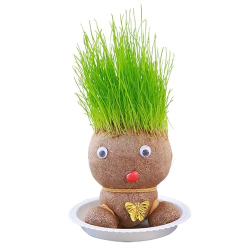 Grass Head Doll Plant,grass heads for kids to grow,cress seeds, Desktop Green Plants Mi-ni Bonsai Pots with Tray,Growing Tray, Desktop Ornaments Decoration Or Plants Potted for Children