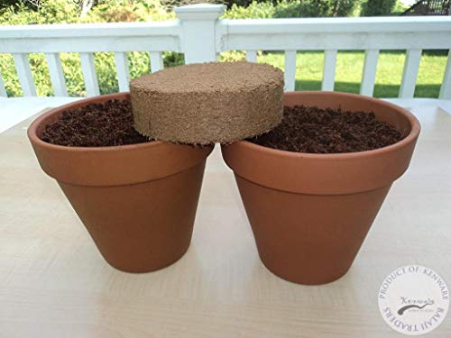 Image of BALAJI TRADING COMPANY Cocopeat /Agropeat Disc for Gardening and Plants (100gm) High E.C. (expands to 400 GMS)