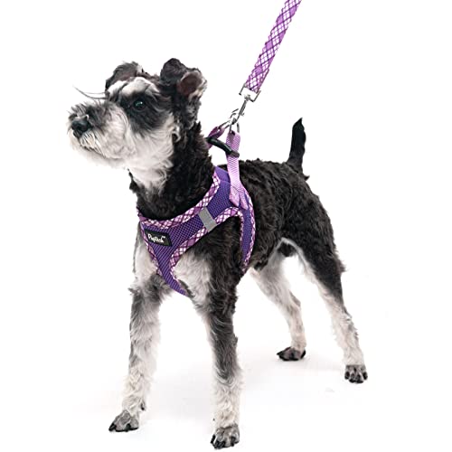 Pupteck Dog Harness And Leash Set For Small Medium Dogs No Pull Step-In Soft Mesh Puppy Cat Vest Harnesses Reflective At Night, Purple S #TOP1