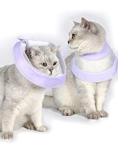 y \tg GUxXJ[ p Lp ʋC rߖh~ ~h~ pPA [TOPKYO] ybgی h  p ^p ZьELɍœK gG߁E?Ή ^}WbNe[v̗pŁAɂS݌v STCY