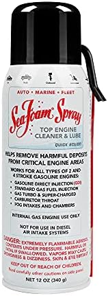 Sea Foam Spray Top Engine Cleaner and Lube SS14, 12oz