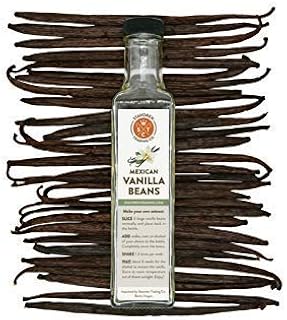 10 Lg Mexican Gourmet Vanilla Beans for Pure Vanilla Extract, Instructions, Glass Bottle Included, Beans are 5-6 inches long, are sealed & protected. Makes 8 oz (10)