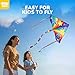 TOY Life 59.1'' Large Rainbow Delta Kites Easy to Fly for Kids Adults with 328.1 FT String, Beach Kite Outdoor Game Outside Toys Activity, Rainbow Gift for Kids Ages 4-8