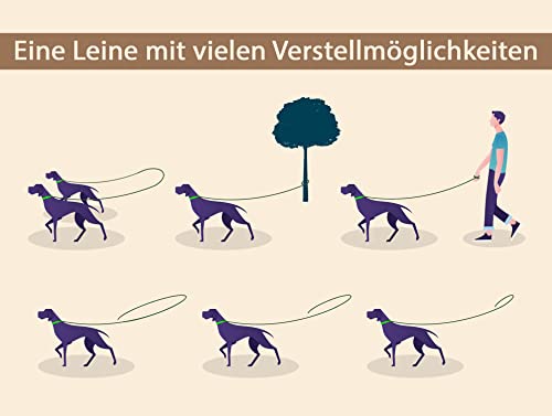 VlaMiTex D2 Freihandleinen Hundeleine Leder Hunde Führleine Fettlederleine Verstelbar 6 Farben (Braun, 2 x 250 cm)
