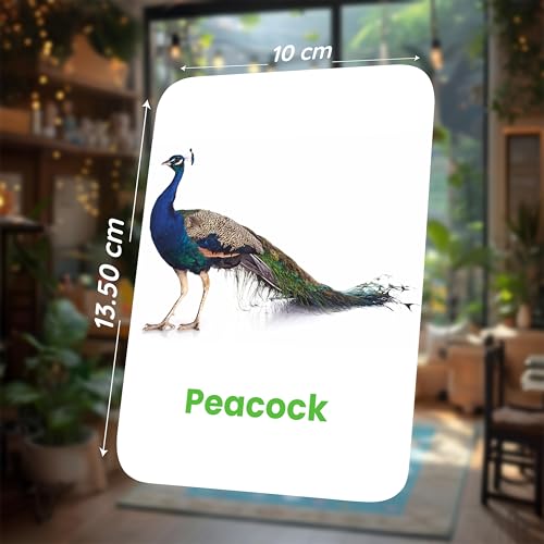 Image of SPARTAN KIDS Bird Flash Cards for Kids | 27 Early Learning Flash Cards Easy & Fun Way of Learning 1 Year to 6 Years Babies
