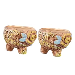 HANABASS 2 Stks Potten Decoratieve Vintage Planten Nieuwigheid Keramische Tuin Plant Bonsai Desktop Ornamenten Planten…