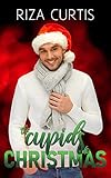  The Cupids Do Christmas (Public Limited Cupids Book 2) (English Edition)