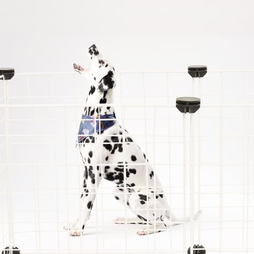 Enclos pour petits animaux robuste pour sécuriser les chiots et chats dans le salon - 5