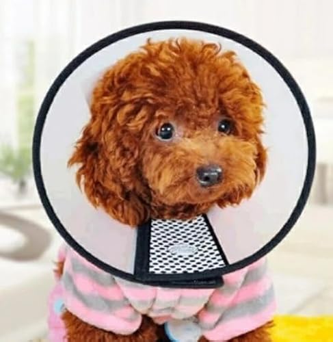 エリザベスカラー 犬 猫 マジックテープ マジックテープ式 半透明 小型犬 中型犬 7号 6号 ソフト 手術後 ペット 軽量 調節可能 装着簡単 接着力強い 抜けにくい柔らかい やわらか 皮膚保護 手術後 皮膚病 介護用 引っ掻き 舐め防止 PP素材 er