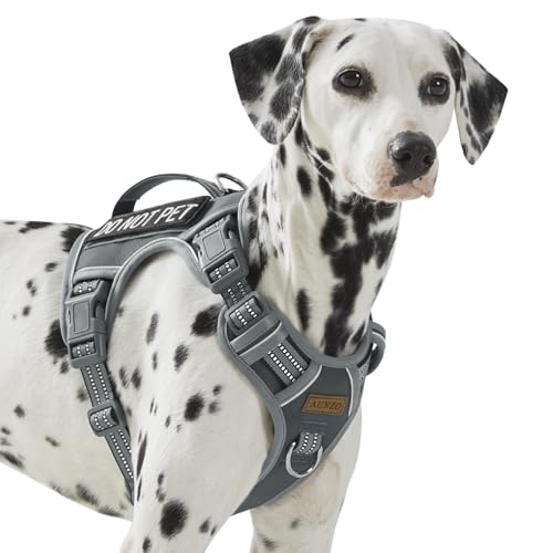 No Pull Dog Harness for Large Dogs with 2 Metal Clips, Easy On/Off with Neck Buckle, Heavy Duty...