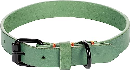 Flamingo Dog Collar Leano Green M 36-44cm 20mm - Image 2