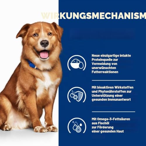 HILL'S 605529 HPD Canine DERM Complete 12 kg, Kunststoff
