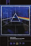 Pyramid International Pink Floyd (Lado Oscuro de la Luna, 30 Aniversario) -Impresión en Lienzo (30 x 40 cm), Madera, Multicolor, 30 x 40 x 1.3 cm