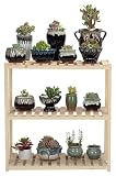 Estante de exhibición de bonsái, soporte para plantas de varias capas, estante en maceta, estante de flores de madera, estantes de almacenamiento, soporte para macetas de bonsái independiente par
