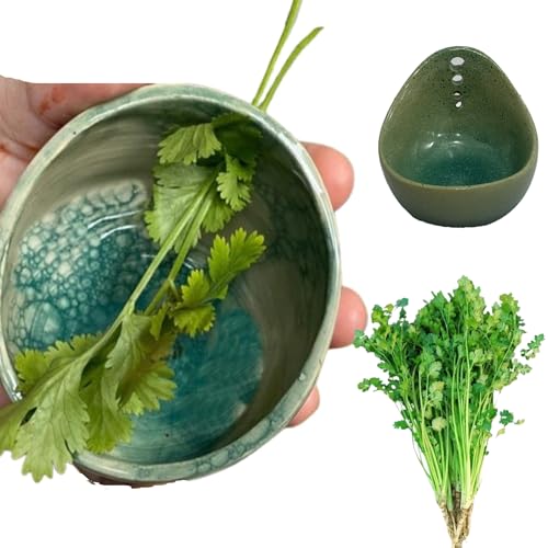 Pottery Herb Stripper Bowl, raschietto per erbe aromatiche, ciotola in porcellana, gugimpel per ceramica, tazze, foglie di erbe spogliarellista 4 fori, utensili da cucina per rimuovere le foglie