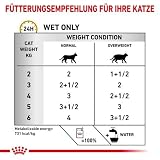 Royal Canin Veterinary Diet Feline Urinary S/O umiarkowane kalorie woreczki sos 48 x 85 g