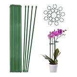 Plant Stakes,Green Plant...