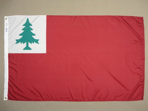Drapeau Continental 91 x 152 cm pour mât extérieur