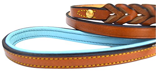 Soft Touch Collars Leather Braided Dog Leash, Tan With Teal Padded Handle, 4Ft Long X 1/2 Inch Wide, For Small Dogs #TOP1