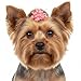 Sorcristy 20Pcs Light Pink Small Dog Hair Bows, Cute Puppy Dog Bowknot Hair Bow Bulk with Rubber Bands, Mix Color Cute Grooming Flower Ball Bowknot Top Knot for Holiday Daily Yorkie Dogs Accessories