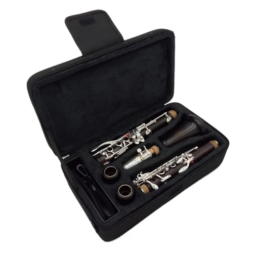 Nlbg vtFbVi Bb Nlbg R13 hNlbgh؍ދ⃁bLL[yP[X