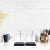 Foil Electroscope, Physics Electrometer Precise Scale Science Experiment Equipment Physics Teaching Aid Experiments