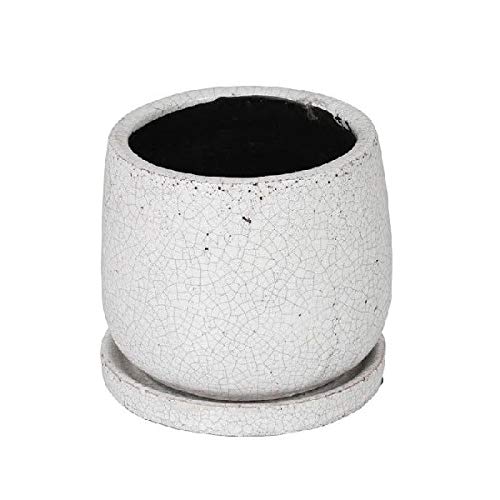 _g(Dulton) |pi OCYh|bg Eh zCg MTCY ꌊ GLAZED POT ROUND WHITE K655-851MWT