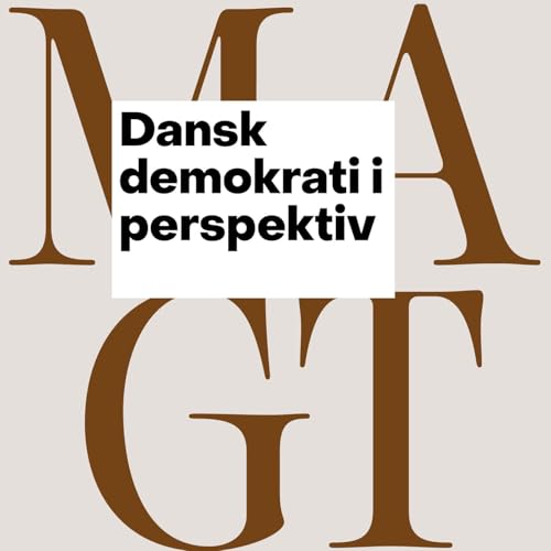Dansk demokrati i perspektiv