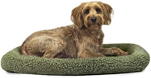 petsense dog beds