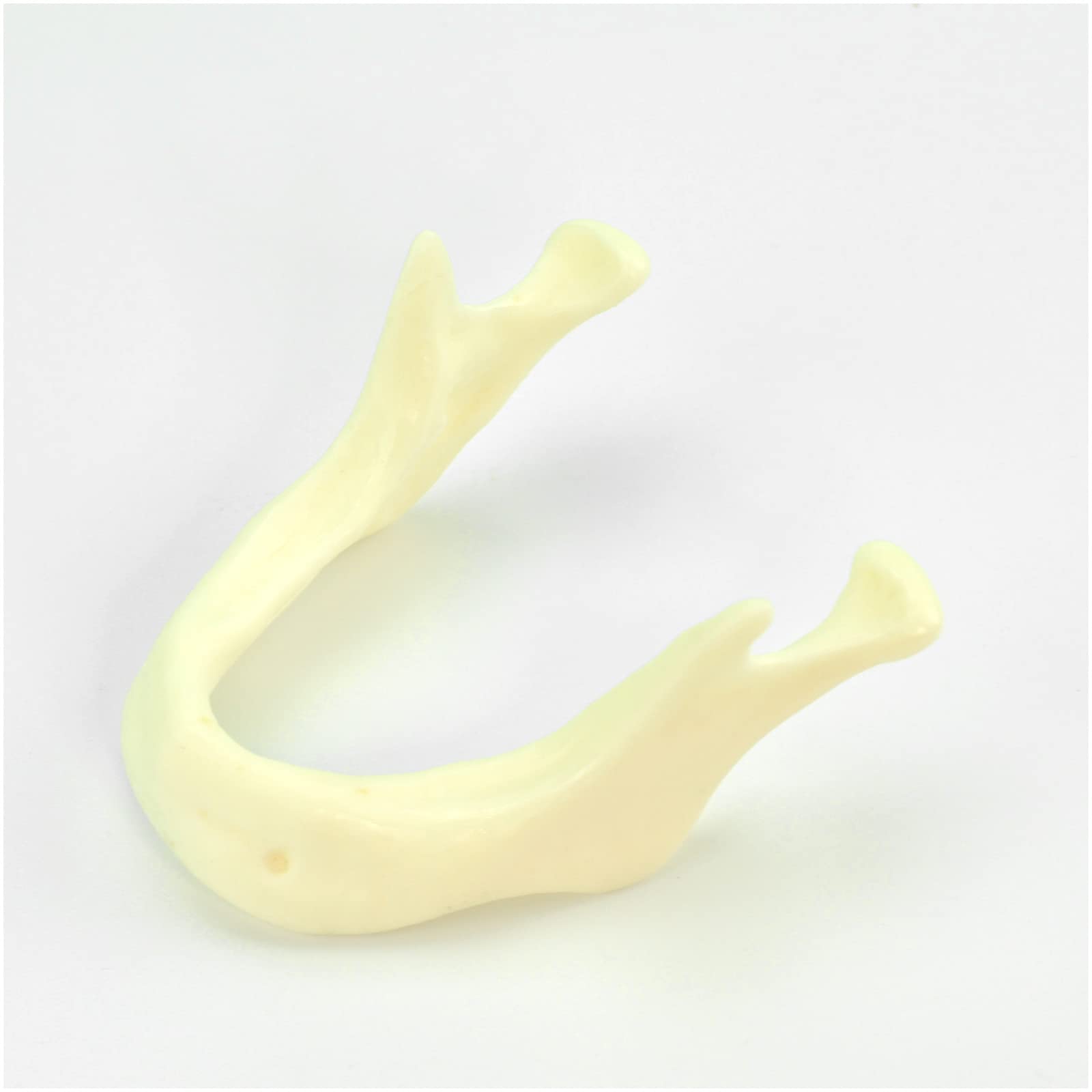 Model do ćwiczeń implantów jamy ustnej, model do pielęgnacji jamy ustnej, model do nauczania zębów dentystycznych - do praktyki bionicznej, nauczania praktycznego modelu egzaminacyjnego, ekspozycji
