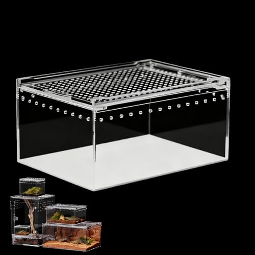 ���v�^�C���{�b�N�X ঒��� �P�[�W �A�N���� ����P�[�X ���� �ʋC�ǍD �h���݌v �����o���� �������ȒP �d�˂Ď��[�\ �g�J�Q �J�G�� �w�r �N�� �Ή� (�X���[���T�C�Y)