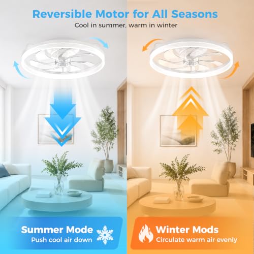 Image of Ceiling Fans with Lights and Remote - 20'' Low Profile Ceiling Fan | 1-6 Wind Speeds, Reversible, Timer, 3000-6500K Dimmable LED Fan Light, Modern Flush Mount Ceiling Fans for Bedroom, Kitchen