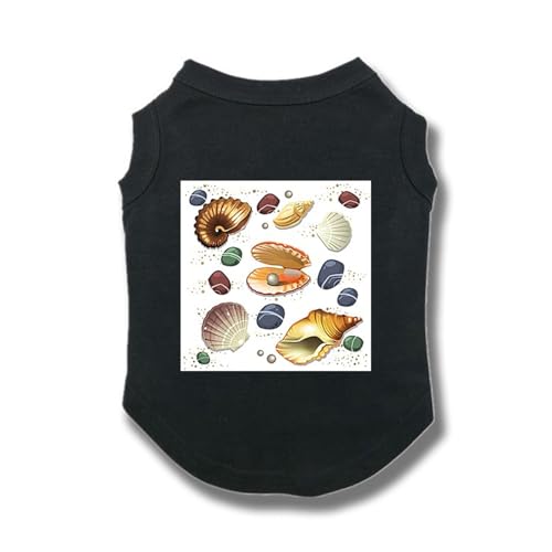 CNJKS  H~ ^̕  M L hbOEFA ӂӂ ^ ubN ^ tďH tVc ^ ybg Ȃ Lm ʋC ₩ Ăh Eѕی U o