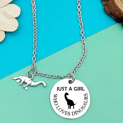 Dinosaur Lovers Jewelry Dinosaur Gifts for Women Animal Lover Gift for Girls Birthday Gifts for Dinosaurs Lover Friends Daughter Sister Coworker Christmas Graduation Gift4