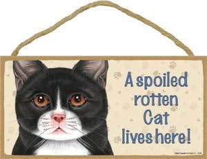 Cat Lover Gift - Black and White Cat Plaque - Spoiled Rotten 5" x 10"