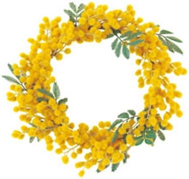 Amazon Asca ミモザリース A イエロー ガーデン