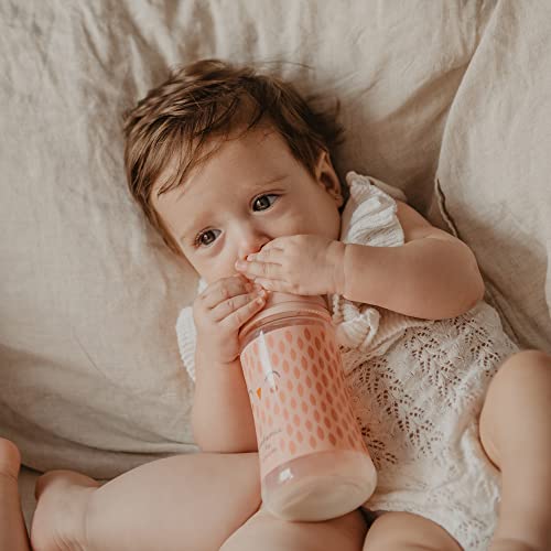 Suavinex, Biberon Da 150 Ml, Premium Con Tettarella Simmetrica Sx Pro In Silicone, Con Valvola Anticolica, Flusso Lento, Ottime Dalla Nascita 0+ Bonhomia, Verde - 10