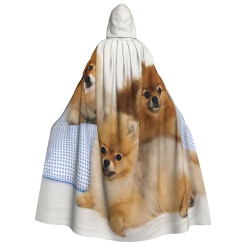 Cape à capuche Poméranie Viking unisexe pour cosplay Halloween