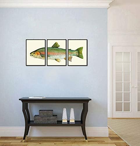Miniatura 6 de Rainbow Trout Fish Fishing Gift Wall Art Prints set of 3 Prints 8x10 - Unframed - Beautiful River lake Nature Home Room Decor Decoration LoveThePrint