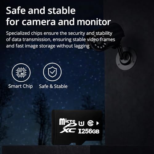 Image of 256GB High-Capacity TF Memory Card | Micro Memory Card for Smartphone, Tablet, Action Camera, Dash Cam & CCTV | Storage Expansion